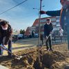 Foto www.vranje.org.rs