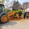 Za sada na četiri lokacije. Foto VranjeNews