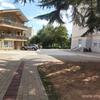 Foto Vranje News