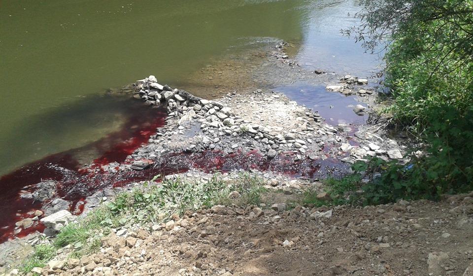 Foto Vladan Radić, Fejsbuk