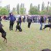 Mini specijal okupio 58 dobermana. Foto Vranje News