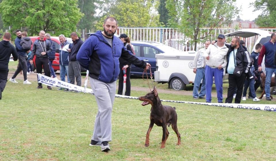 Sa prošlogodišnje izložbe. Foto ilustracija Vranje News