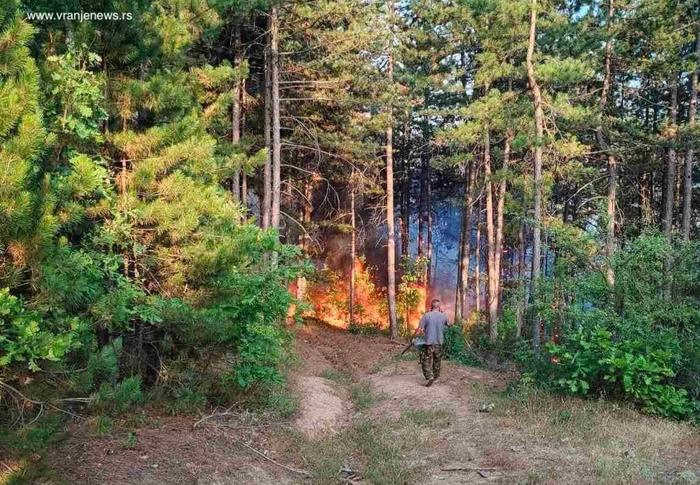 Foto Vranje news