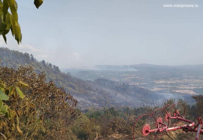 Prošlogodišnji požari u ataru Mečkovca. Foto Vranje news