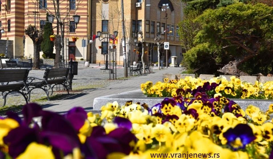 Foto Vranje News