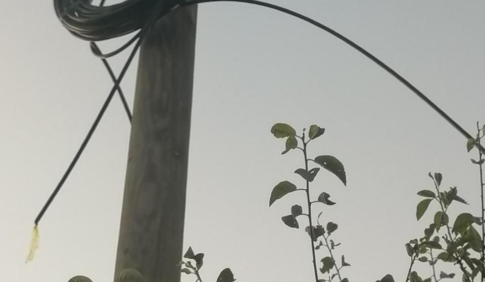 Foto K.J. (klik na fotografiju za puni prikaz)