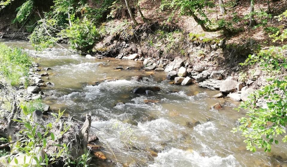 Voda čista kao suza. Foto lična arhiva