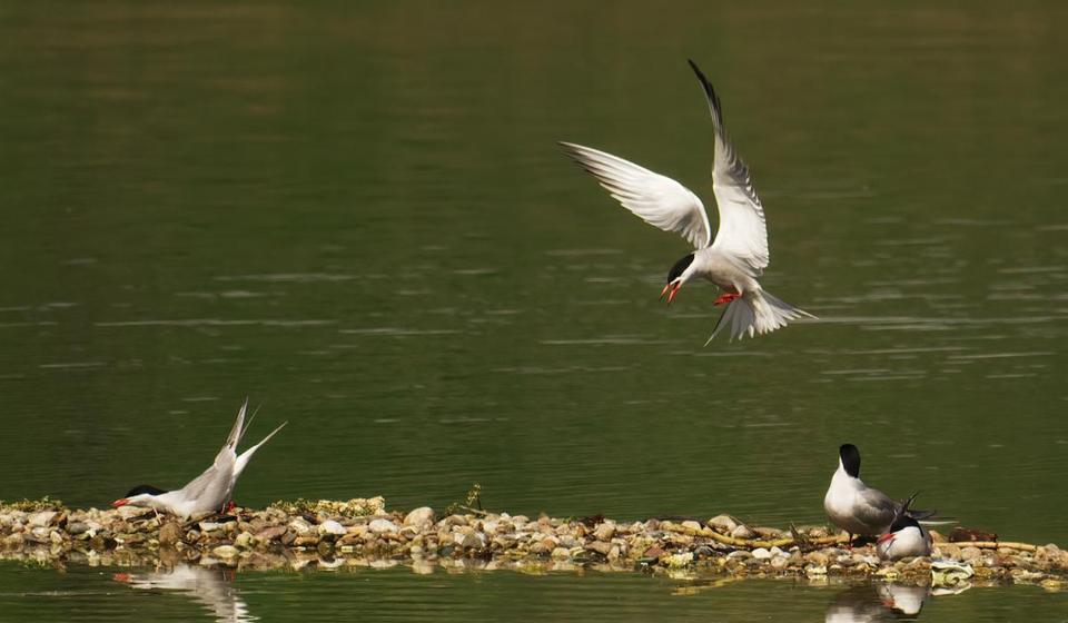 Foto Marko Stoičkov