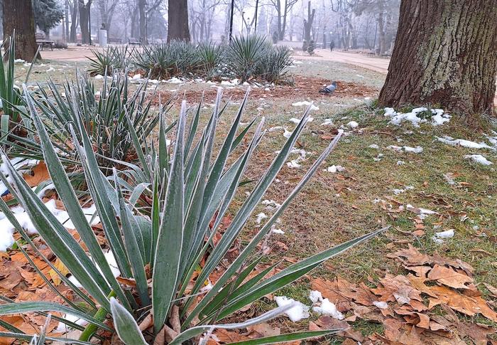 Foto ilustracija Vranje news