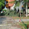 Foto Vranje News