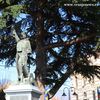 Foto Vranje news