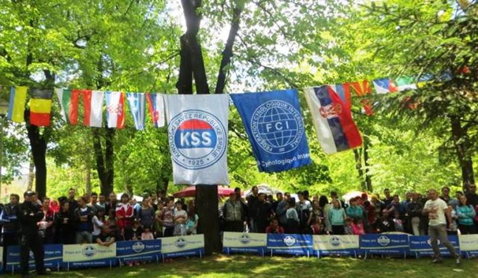 Detalj sa prošlogodišnje izložbe. Foto VranjeNews