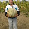 Saša Krstić. Foto privatna arhiva
