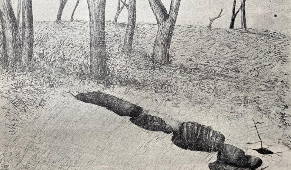 Pukotine nastale od zemljotresa. Foto printscreen