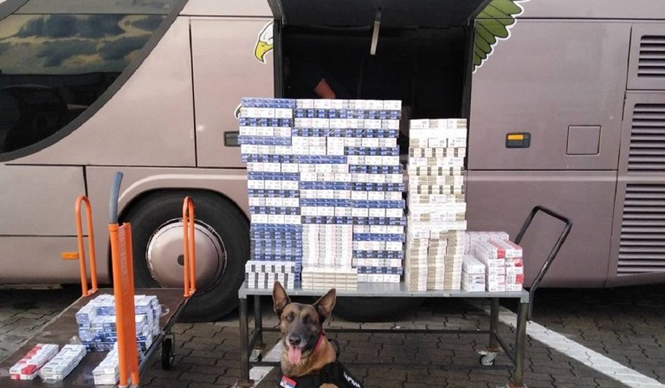Specijalno obučeni pas otkrio tovar cigareta. Foto Uprava carina