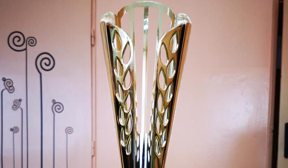 Ovako izgledaju nagrade. Foto privatna arhiva