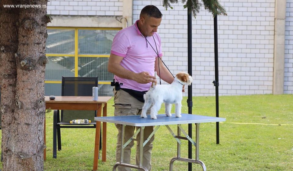 Foto Vranje news