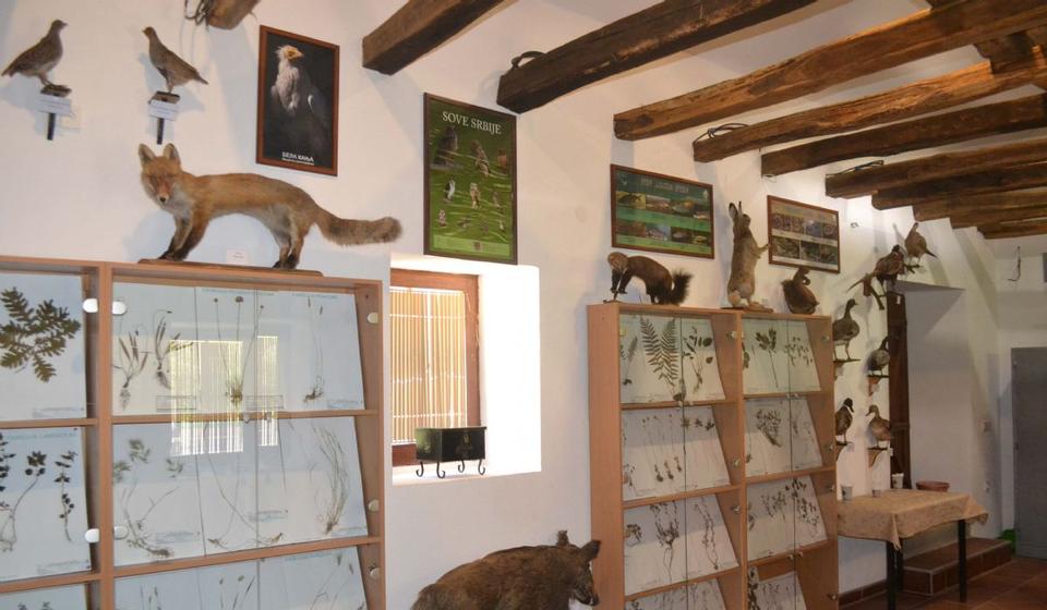 Foto Eparhija vranjska