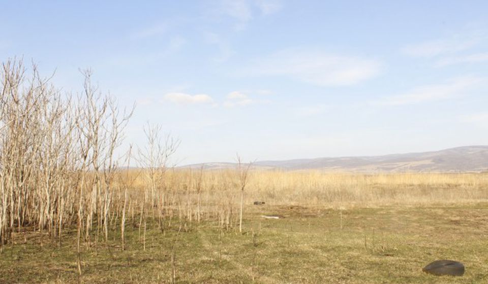Lokacija kod Velikog Gradišta gde je trebalo da se gradi bioelektrana. Foto CINS