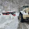 Foto vranje.org.rs