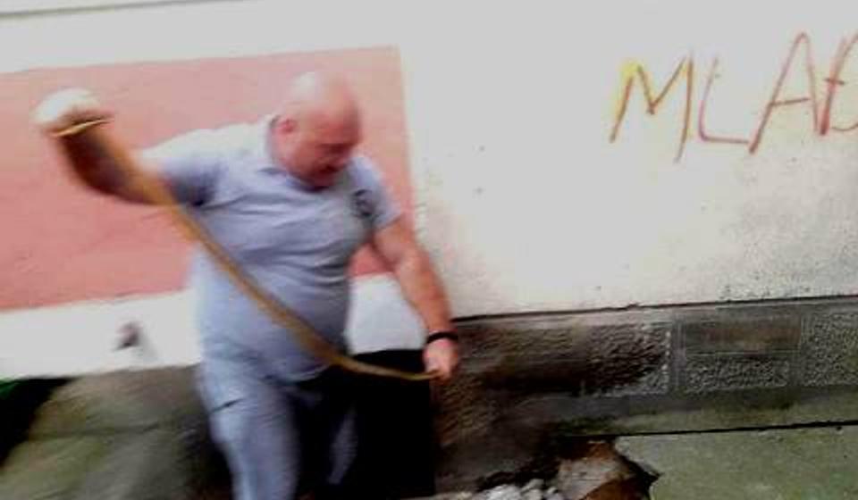 Oprez, jer se očekuje dalja najezda gmizavaca. Foto VranjeNews