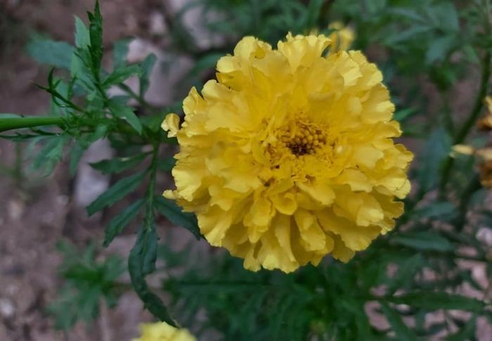 Foto ilustracija Vranje news