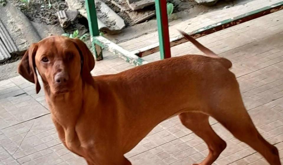 Foto porodična arhiva