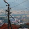 Foto Vranje News