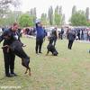 Mini specijal okupio 58 dobermana. Foto Vranje News