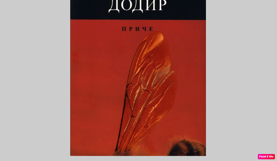 Foto printscreen korice Zadužbina Manastira Hilandara