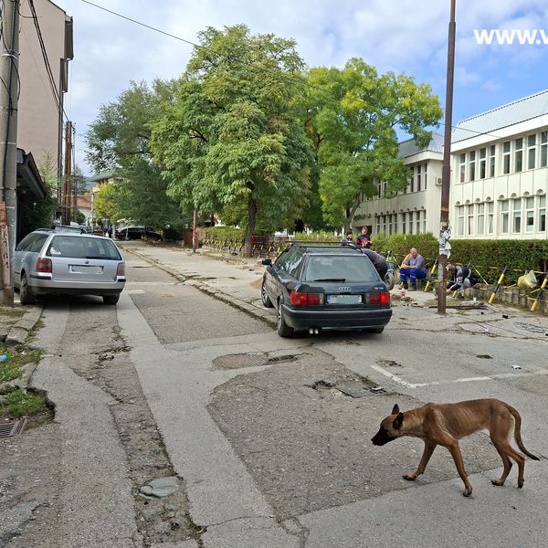 Foto Vranje news