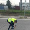 Stigli sertifikati za maraton i polumaraton. Foto Fejsbuk, Vranjski maratonci