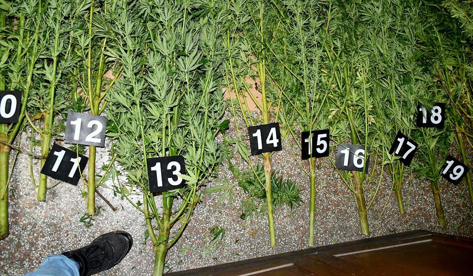 Foto materijal MUP-a